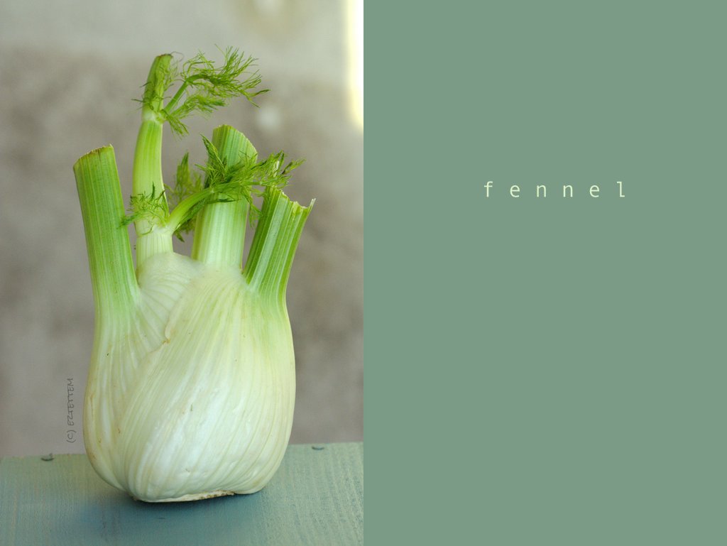 fennel